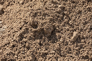 close up view of clean fill dirt