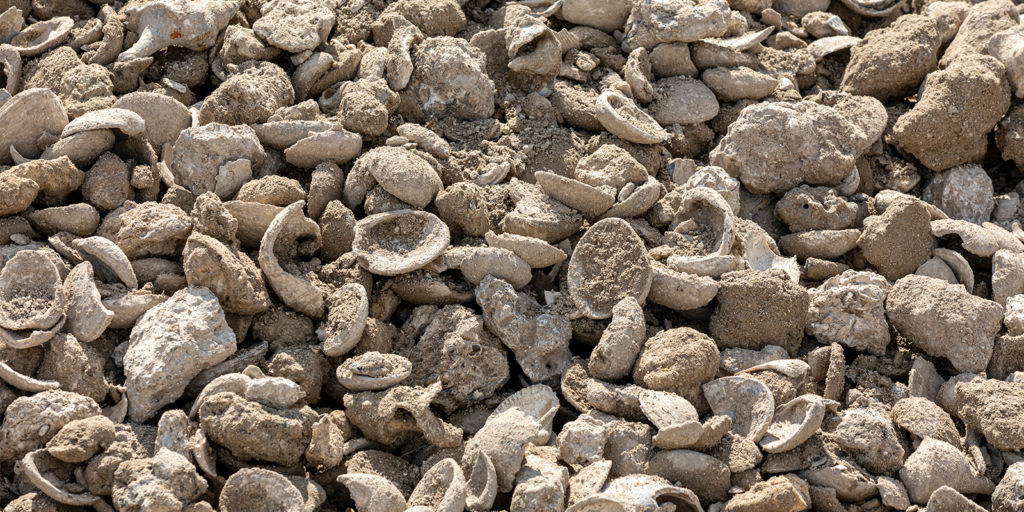 Shell Aggregate - Barclay Earth Depot