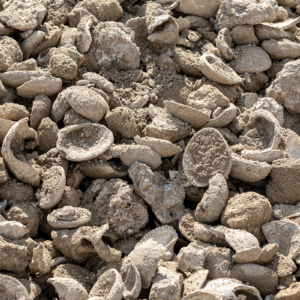 close up view of shell aggregate