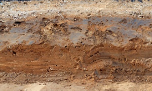 layers of Florida sand and clay 