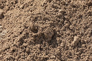 close up view of screened fill dirt