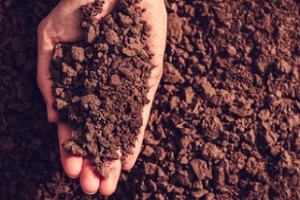 man hand holding dark textured soil