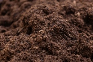 organic topsoil