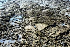 Shoreline land of stones and water