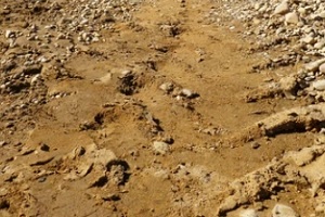 fill dirt placed with crushed stones