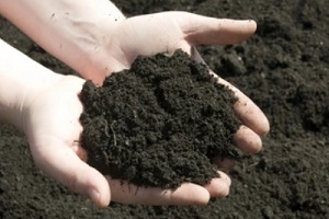 man hands holding topsoil