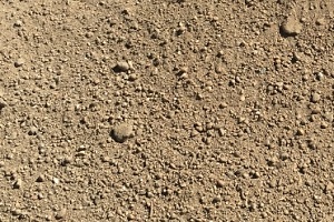 screened fill dirt