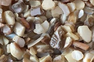 How Using Crushed Shells For Landscaping Improves Your Soil - Barclay Earth  Depot