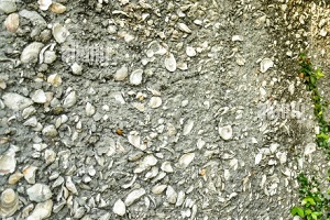 tabby concrete on garden wall