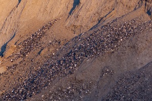 brown fill dirt in front of green trees