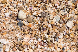 different crushed shell aggregate forming a beautiful background pattern