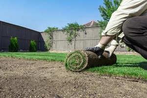 man rolling grass in garden