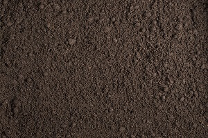fill dirt soil texture