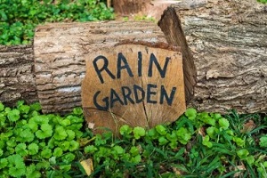 rain garden written on tree wood