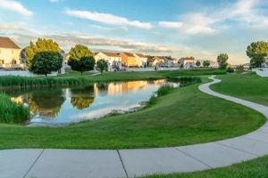 small pond near village