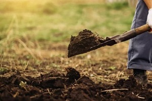 man working with shovel in yard