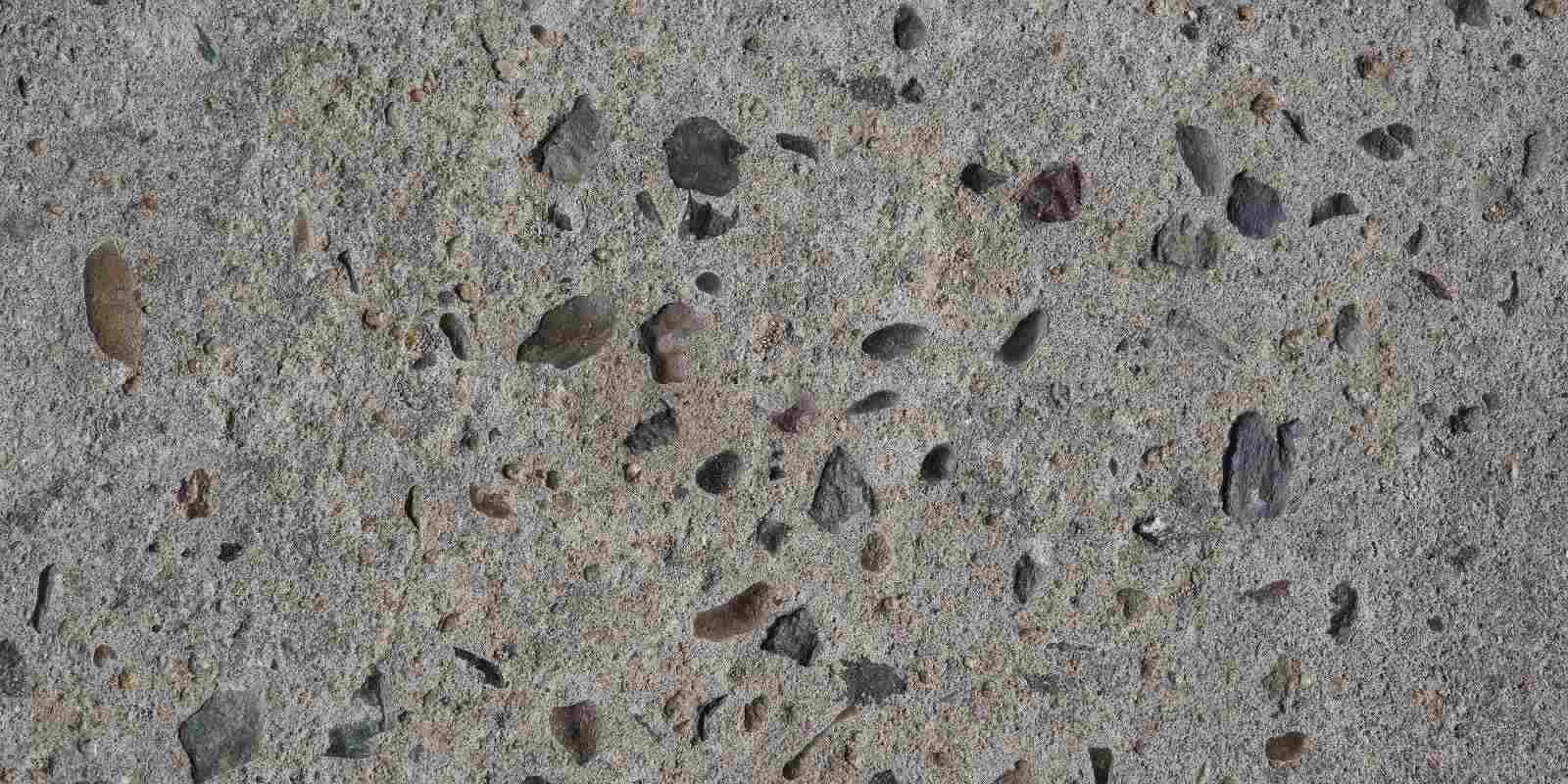 How Using Crushed Shells For Landscaping Improves Your Soil - Barclay Earth  Depot