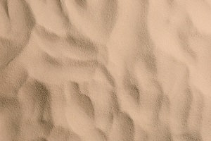 Florida dry beach sand as background