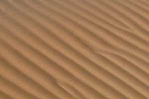 Punta Gorda, FL sand in desert