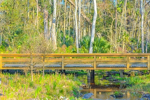 Nocatee FL wetland bridge