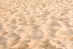 Florida landscaping sand texture close up