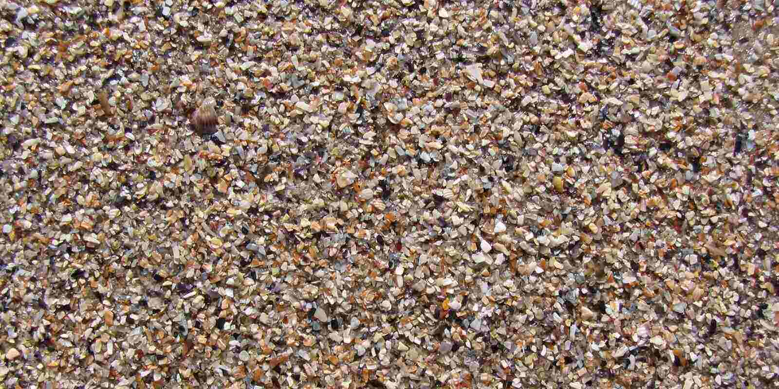 colorful coarse sea sand and crushed shells