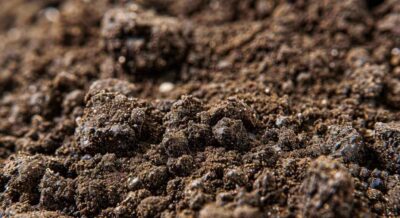 soil consists of fine particles that hold moisture well but can become compacted