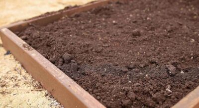 clean fill dirt in raised garden bed in spring