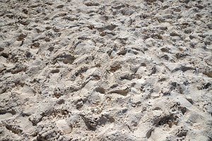 white prestige sand florida